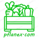 Pflanex