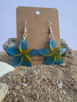Handmade Resin Earrings for Fiji Day
