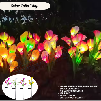 Solar Calla Lilly