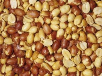 Roasted Peanut (2 X 12.5KG in a box) 