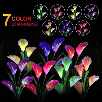 Solar Calla Lilly