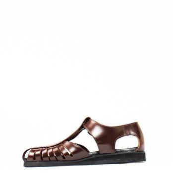 Geckos Porto Adult largest size by Dahia