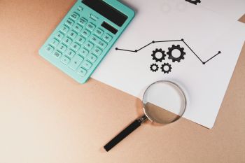 Internal Audit Support