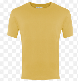 SW 100% COTTON ROUND NECK TEE - GOLD