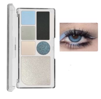 6 Color Eye Shadow Pallette #06