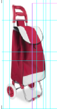 Hand Shopping Trolly