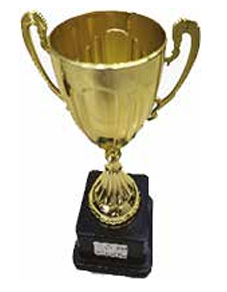 SW TROPHY 19.5CM (HL-049)