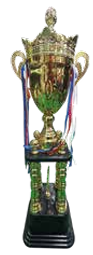 SW GOLD TROPHY 91CM (2400-A)