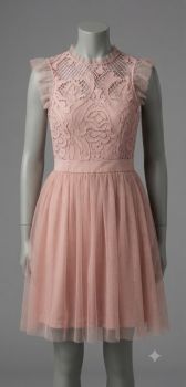 Ladies Dress