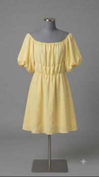 Ladies Dress