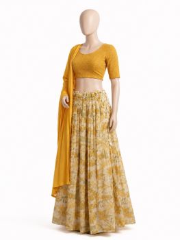 Crop Top Lehenga