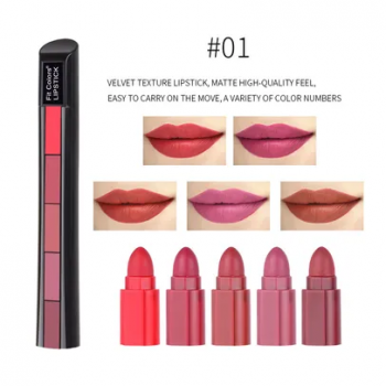 5 in 1 Lipstick Kit 
