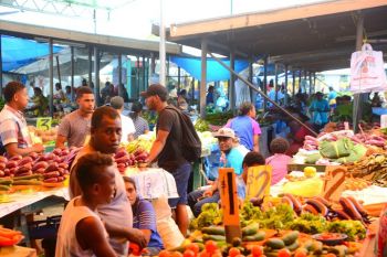 Customized Suva day tour