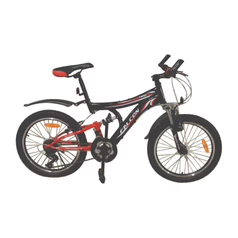 Falcon Bicycle 20