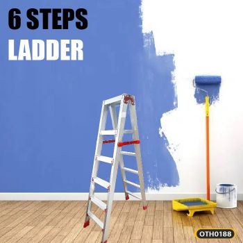 6 STEPS LADDER