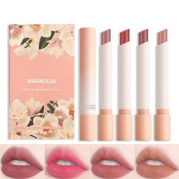 4 Piece Mini Matt Lipstick Set