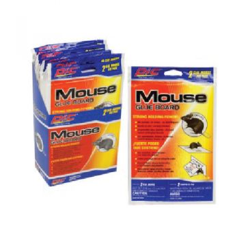 Pic 2 Pack Mouse Glue Board