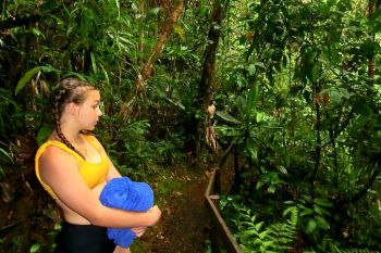 Private Suva Nature and Waterfall Tour