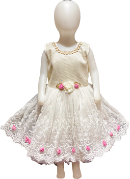 PN-309082750 Kids Dresses