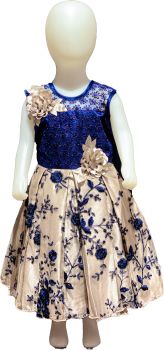 PN-309042975 Kids Dress