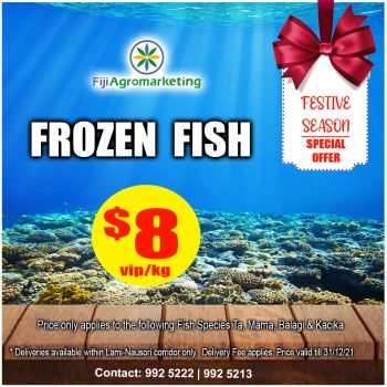 Frozen Fish 1kg