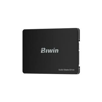 The BIWIN M100-256G