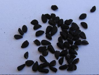 Black Cumin (कृष्ण जीरक)  (Packed in 1KG)