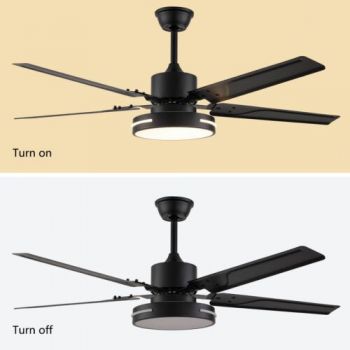 Luxury 5 Blade Ceiling Fan Light with Remote Control