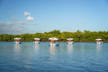 Self-Drive BBQ E-Boat Cruise