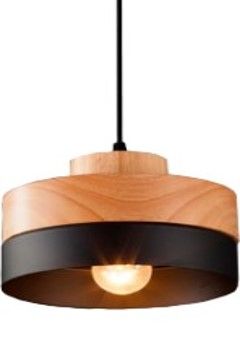 ELA095 LED Pendant Light