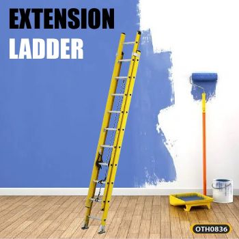 EXTENSION LADDER