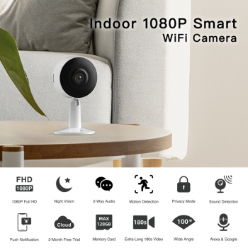 Indoor Wifi Camera