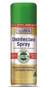 Disinfectant Spray (300 gram)