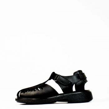 Geckos Golden by Dahia - Adult sizes
