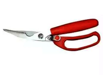 Kitchen Scissors