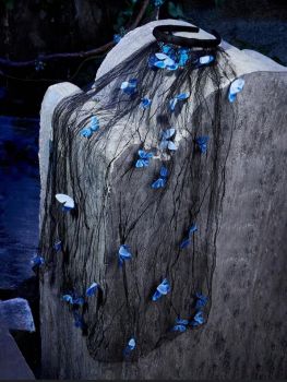 Butterfly applique veil