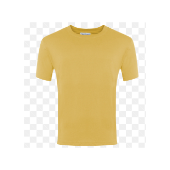 SW 100% COTTON ROUND NECK TEE - GOLD