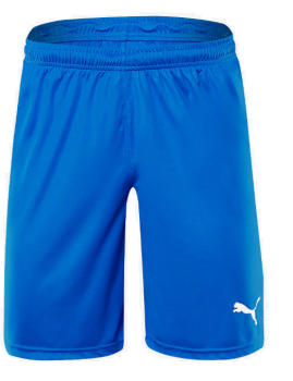 PUMA LIGA SHORTS CORE BLU/WHT - 70343602