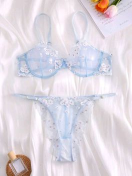 Underwired Mesh lingerie Set - 1XL