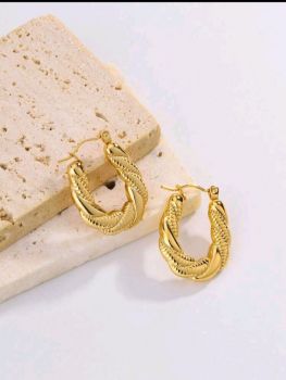 Gold plated Stainless earrings 