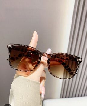 Trendy Shades Collection 