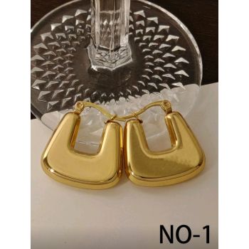 Stainless Daily Wear Hoop #06