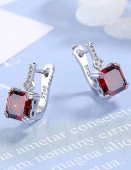 S925 Sterling Silver Earring