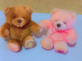 2 pcs Brown & Pink Bears
